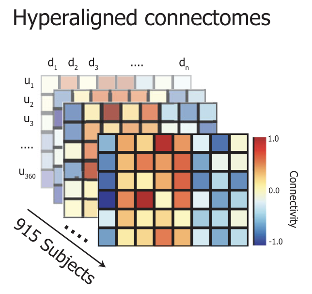 ABCD - Hyperalignment logo