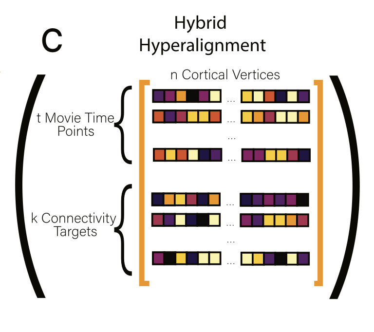 Hybrid Hyperalignment (H2A) logo