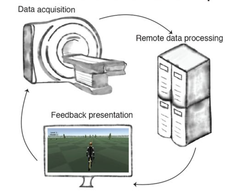 Neurofeedback avatarRT Analyses logo